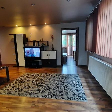 Apartament Laurentiu - etaj.1 Bukareszt Zewnętrze zdjęcie