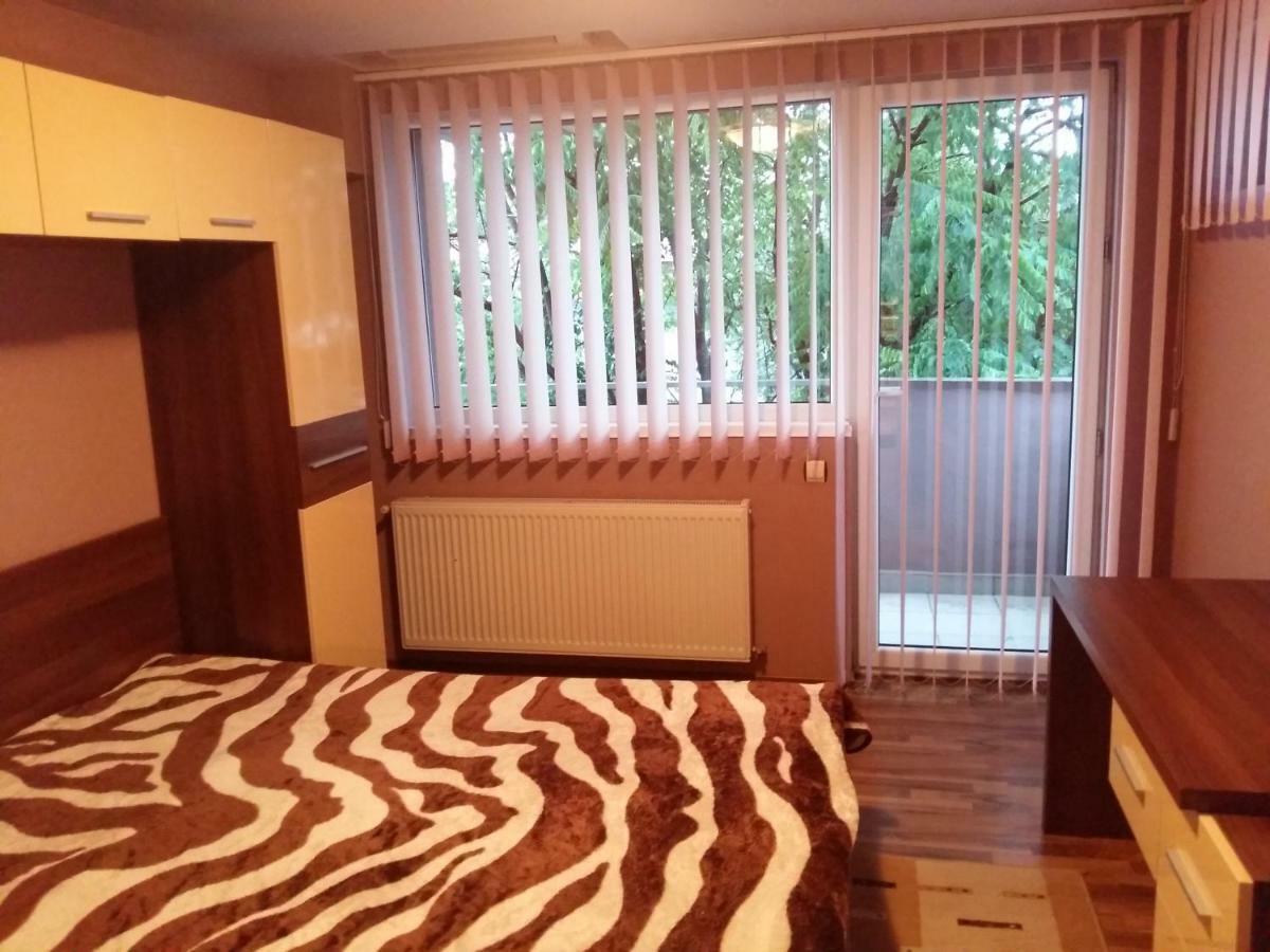 Apartament Laurentiu - etaj.1 Bukareszt Zewnętrze zdjęcie